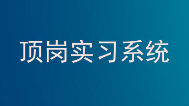 顶岗实习系统