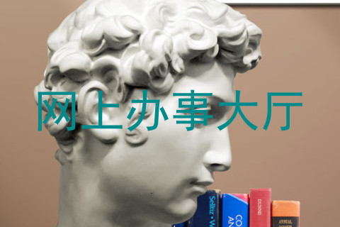 网上办事大厅