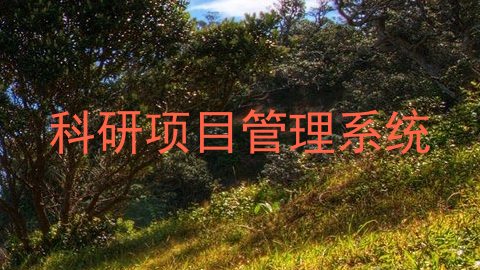科研项目管理系统