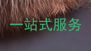 一站式服务