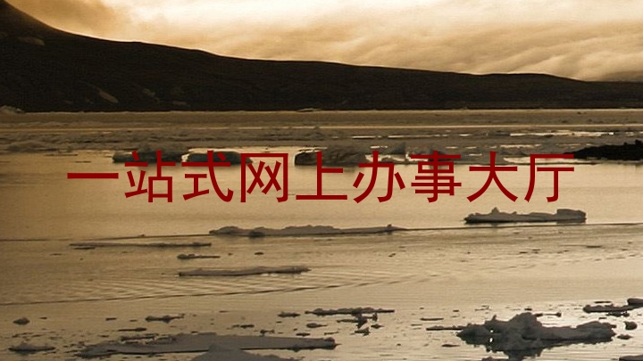 一站式网上办事大厅