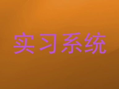 实习系统