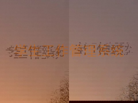 学生工作管理系统