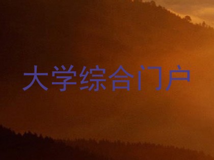 大学综合门户