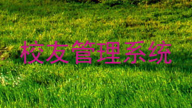 校友管理系统