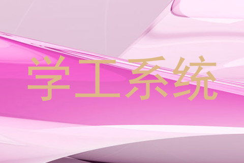 学工系统