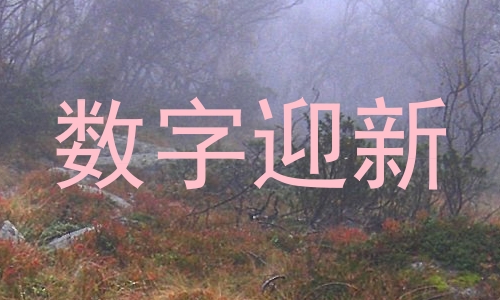 数字迎新