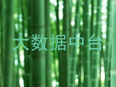 大数据中台