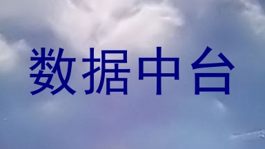 数据中台