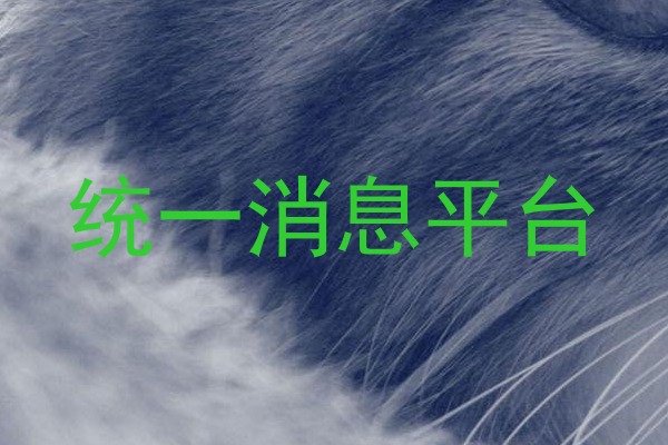 统一消息平台
