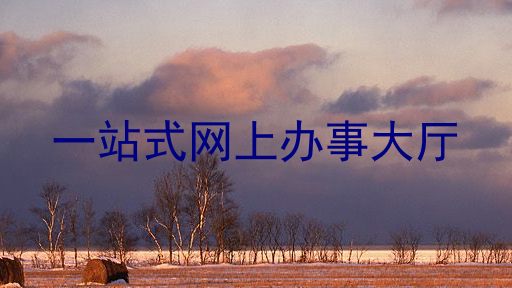 一站式网上办事大厅