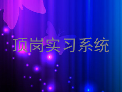 顶岗实习系统