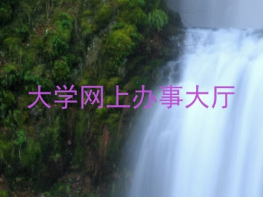 大学网上办事大厅