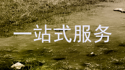 一站式服务