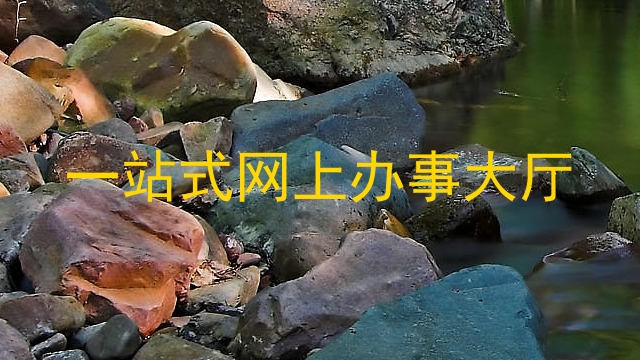 一站式网上办事大厅