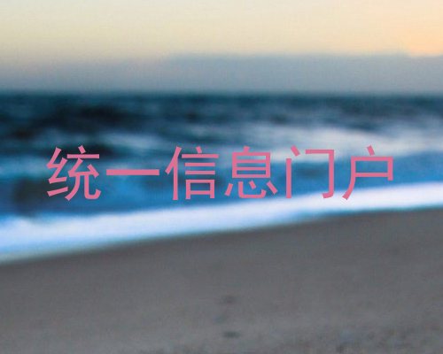 统一信息门户