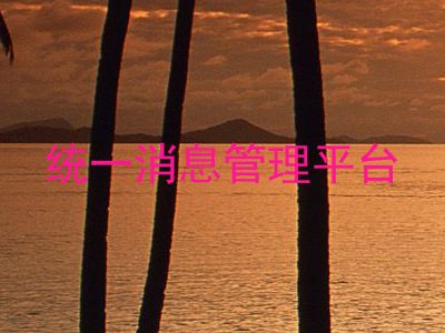 统一消息管理平台