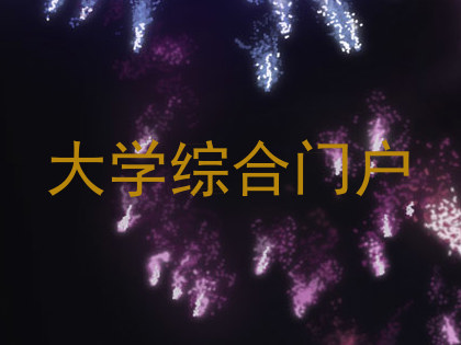 大学综合门户