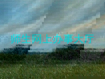 师生网上办事大厅