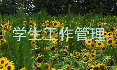 学生工作管理