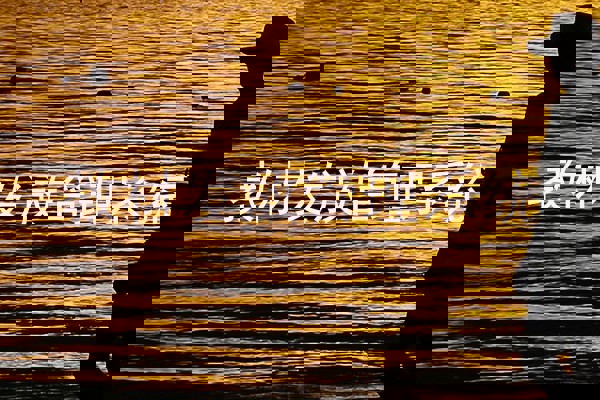 教材发放管理系统