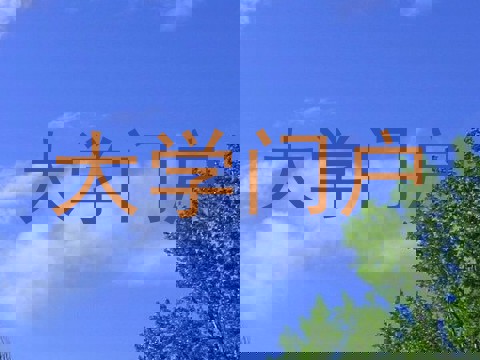 大学门户