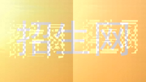 招生网