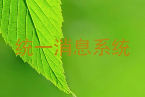 统一消息系统