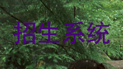 招生系统