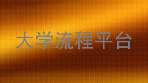 大学流程平台