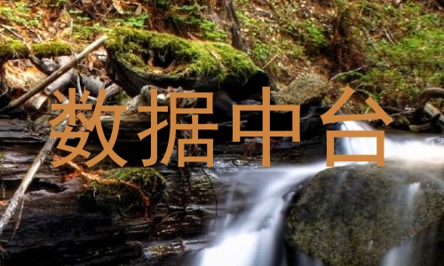 数据中台