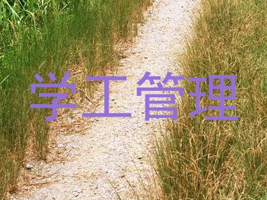 学工管理