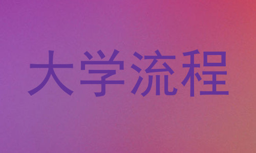 大学流程