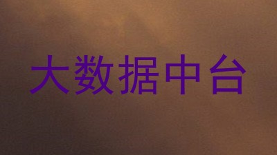 大数据中台