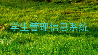 学生管理信息系统