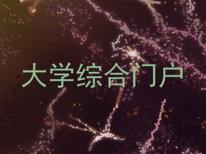 大学综合门户