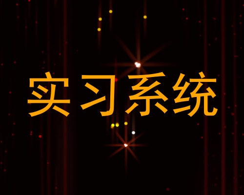 实习系统