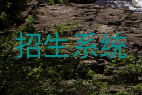 招生系统