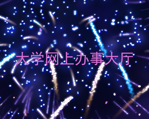大学网上办事大厅