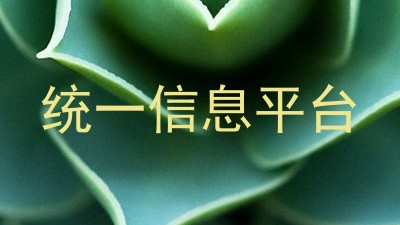 统一信息平台