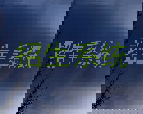 招生系统