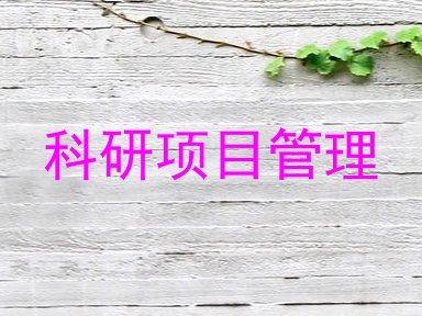 科研项目管理