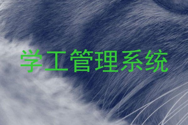 学工管理系统