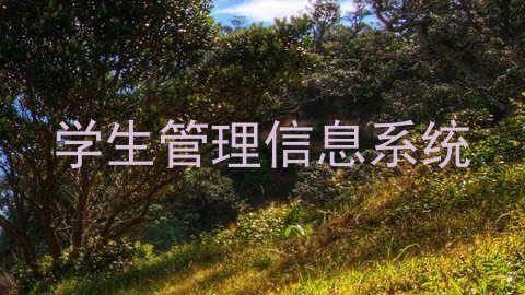 学生管理信息系统