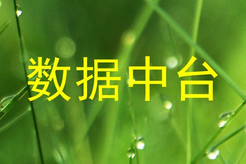 数据中台