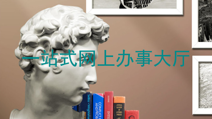 一站式网上办事大厅