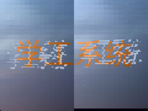 学工系统