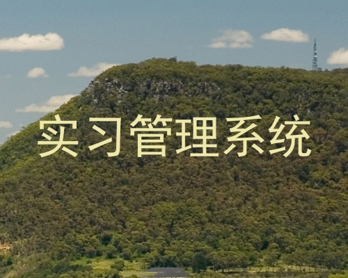 实习管理系统