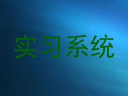 实习系统