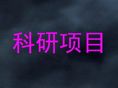 科研项目